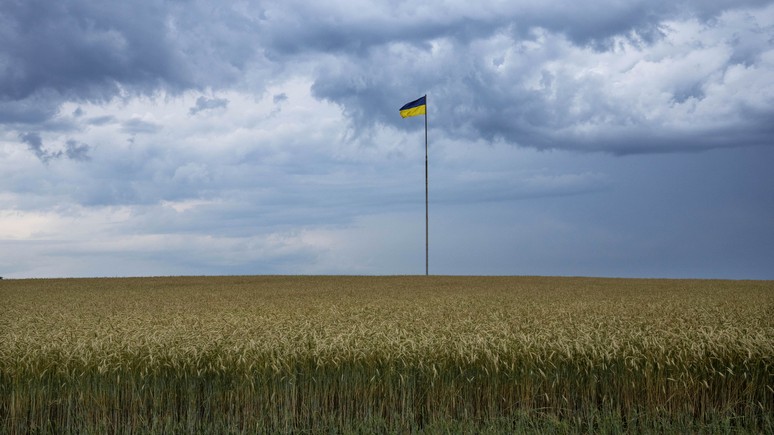 Bloomberg: Украина мобилизует сельхозработников в отчаянной попытке восполнить силы армии