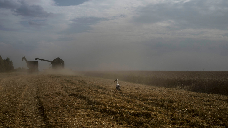 France info: фермеры возмущены нежеланием ЕС возвращать пошлины на украинское зерно