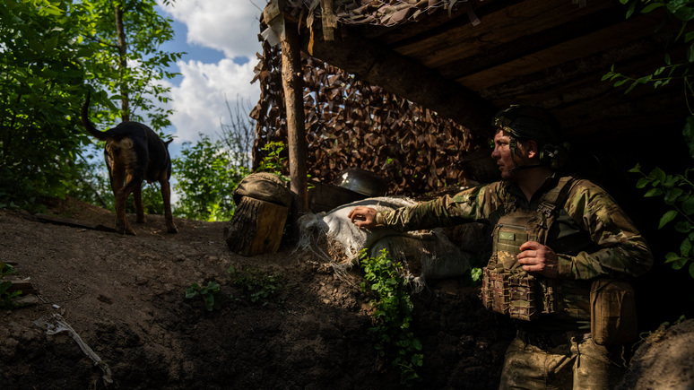 Пока не поздно — Responsible Statecraft призывает присмотреться к российским мирным предложениям по Украине