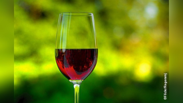Россия отменит запрет на импорт грузинских вин 