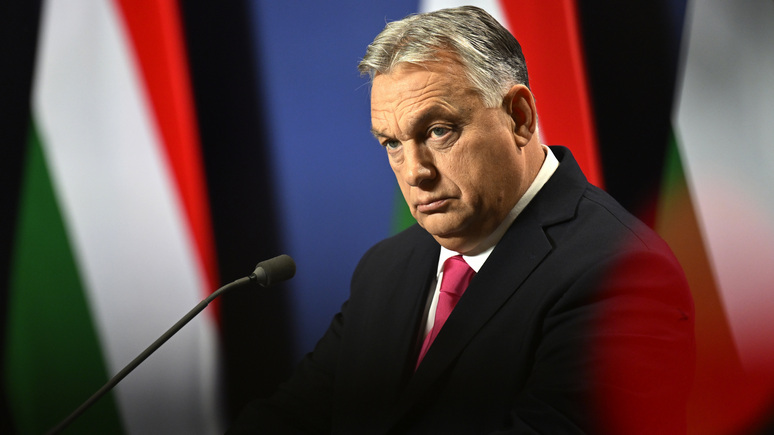 Bloomberg: на саммите НАТО Орбан предлагал Украине отказаться от намерения вступить в альянс