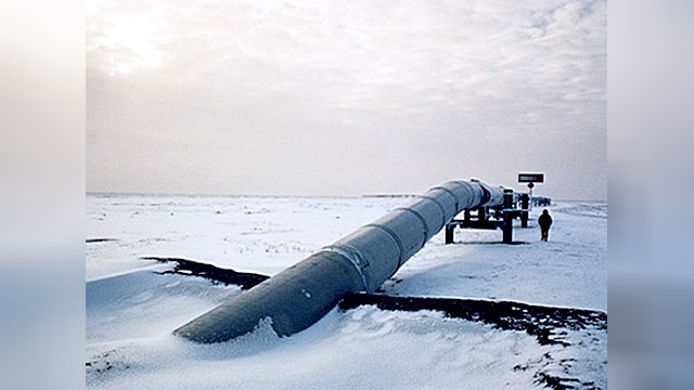 Greenpeace: российских нефтяников нельзя пускать в Арктику