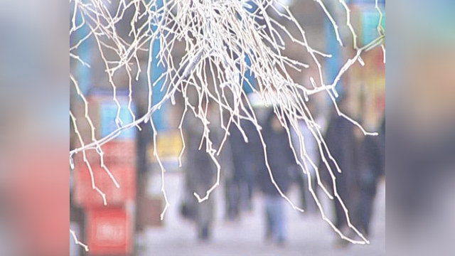 В России из-за морозов погибли 29 человек 
