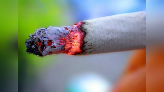 Госдума приняла закон о запрете курения в общественных местах