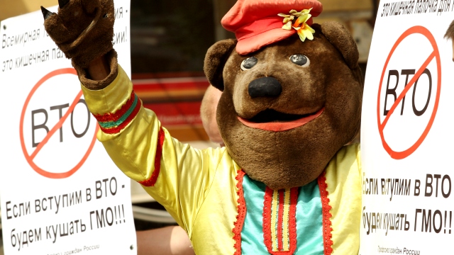 Борис Кагарлицкий: Нужны выход или приостановка членства России в ВТО 