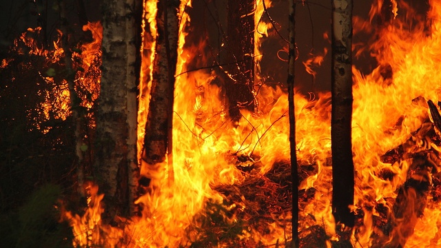 Лето 2013 может запомниться жарой и пожарами
