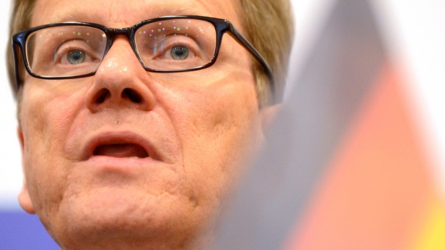 Глава МИД Германии подверг критике российский закон об НКО