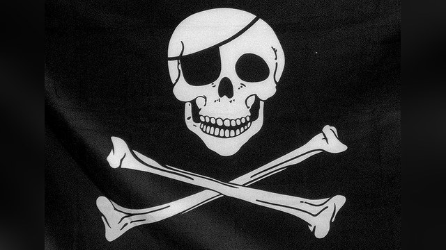 Госдума объявила войну пиратству в Интернете