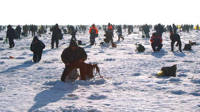 NYT: Необходимо защитить Антарктиду от российских рыбаков