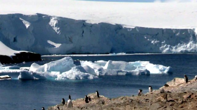 Россия заблокировала создание морских заповедников в Антарктике 
