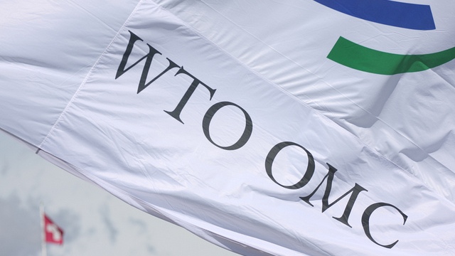 За год членства в ВТО Россия зарекомендовала себя опытным игроком