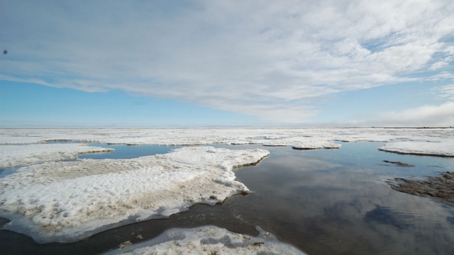 ARD: Реальный диалог в «битве за Арктику» - это вряд ли 