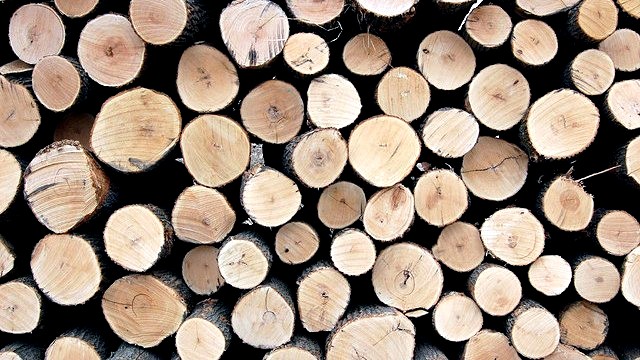 Financial Times: Дальневосточные леса исчезают в китайских лесопилках