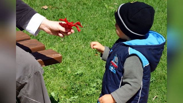 Астахов: Детей из России могут усыновить только итальянцы