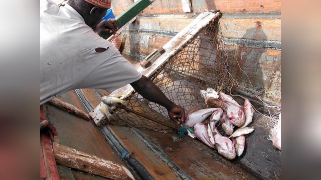 Росрыболовство: Арест траулера связан с конкуренцией за рыбу