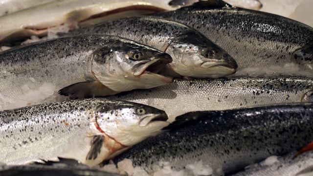 The Local: Норвежские экспортеры стали жертвой «рыбного заговора»