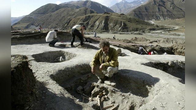 Россия добивается у Швейцарии экстрадиции «черного археолога»