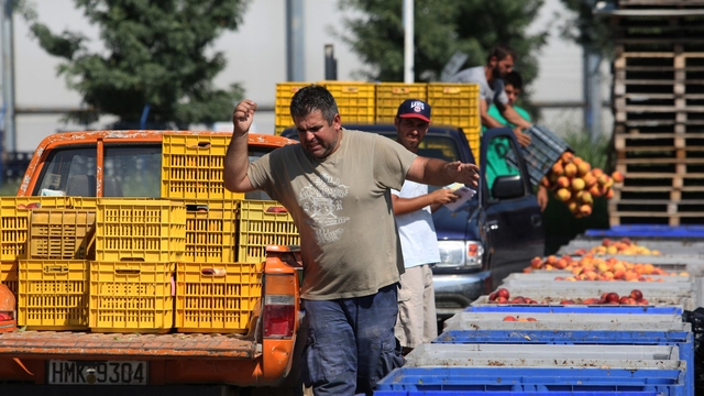 Guardian: Санкции России становятся катастрофой для греческих фермеров 