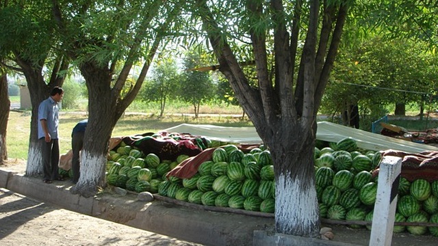 Россия решила забыть про запрет таджикской сельхозпродукции  