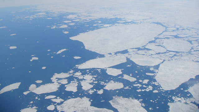 Newsweek: Канадские беспилотники в Арктике выведут Россию на чистую воду