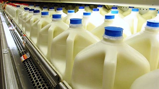Бразилия начала экспортировать молочные продукты в Россию 