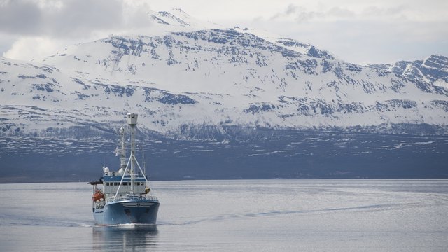 Guardian: Наращивание мощи в Арктике – прошлый век	