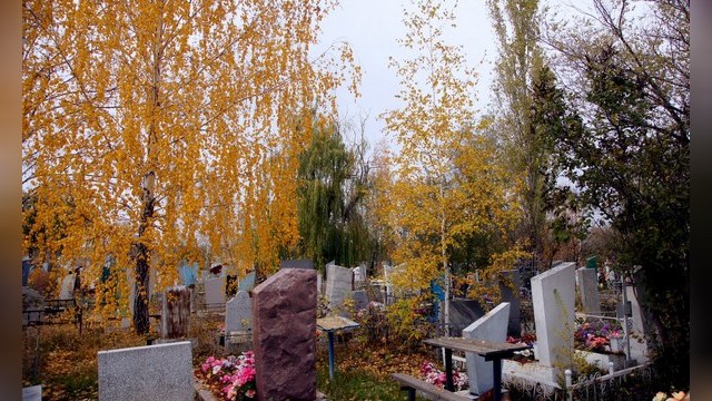 Девятый канал: Россиянам будут раздавать бесплатные гробы