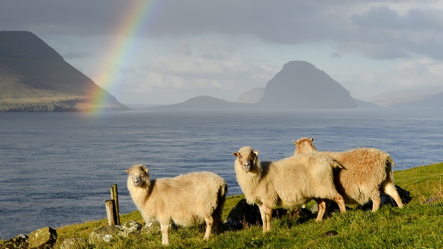 Фарерские острова богатеют на российском эмбарго всей Дании на зависть