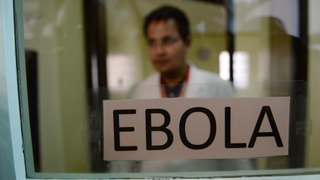 WP: Россия запугивает своих граждан Эболой, чтобы те не ездили за границу