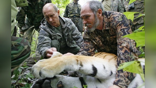 1+1: «Тигр Путина» наводит ужас на Китай