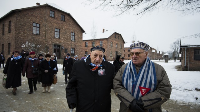 Немецкие левые: Помнить Освенцим значит помнить его освободителей