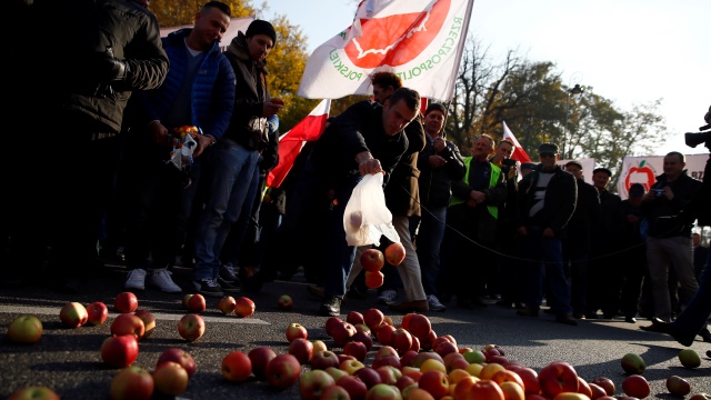 Фермеры Польши негодуют: у Варшавы нет для них злотых, но для Киева евро есть