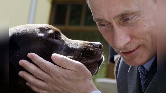 Politico: «Добрый двойник Путина» сделал бы то же самое