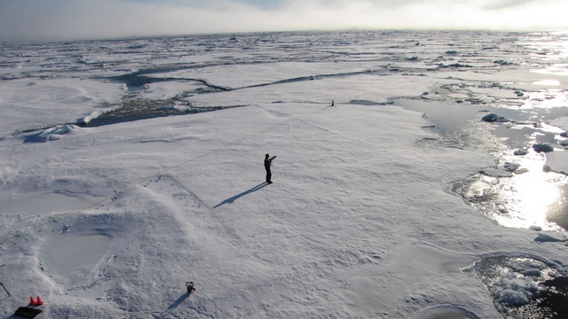Independent: Британия не должна оставаться в стороне от передела Арктики
