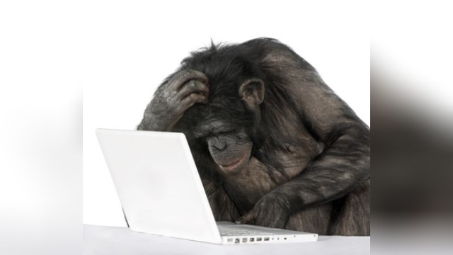 Fortune: «Забавные обезьяны» помогли взломать переписку Обамы