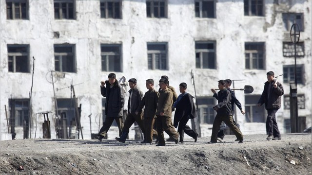 BBC: На «рабский труд» северокорейцев в России смотрят сквозь пальцы