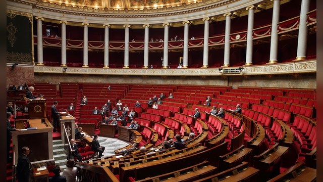 Французские депутаты едут в Крым вопреки воле Парижа