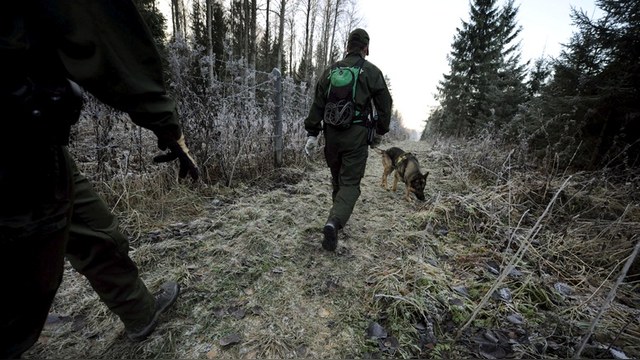 RCI: На границе с Россией финские службы требуют подкрепления – на всякий случай
