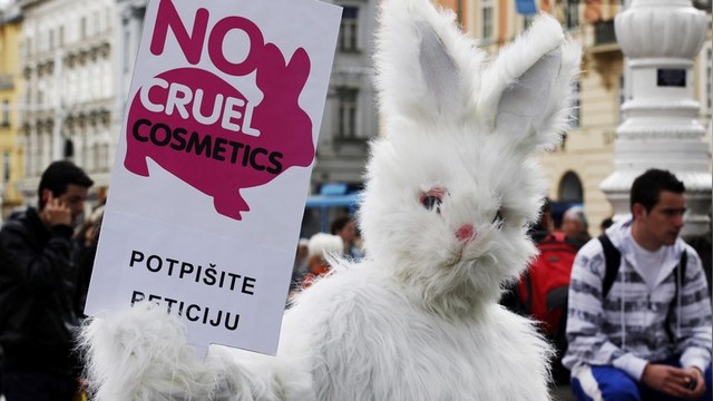 HP: До России и Аргентины дошел запрет на испытание косметики на животных