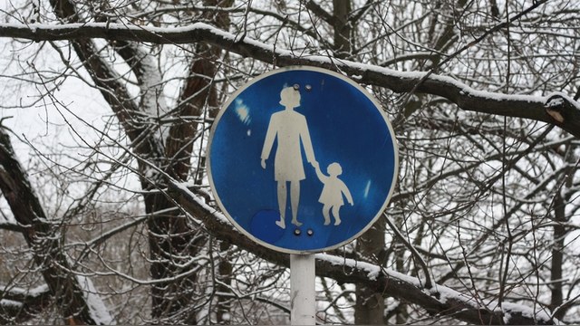 Delfi: Финские органы опеки отняли дочь у россиянки 