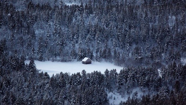 Главреда норвежского сайта уволили за беспристрастность к России