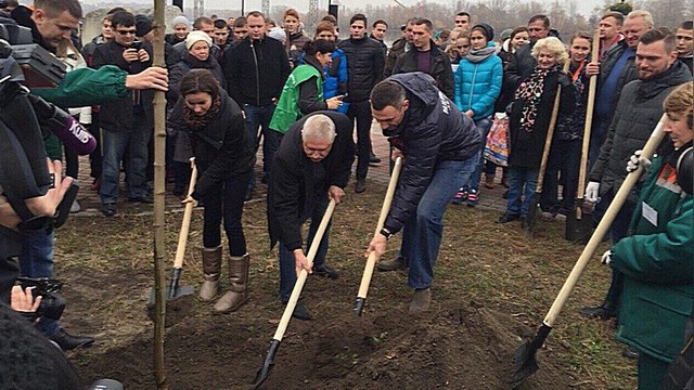 Корреспондент: Мэр Кличко отказался сажать березу и посадил клен