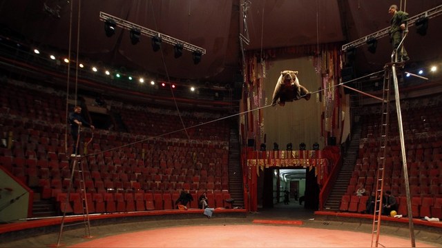 Hollywood Reporter: Российское кино выходит на цирковую арену