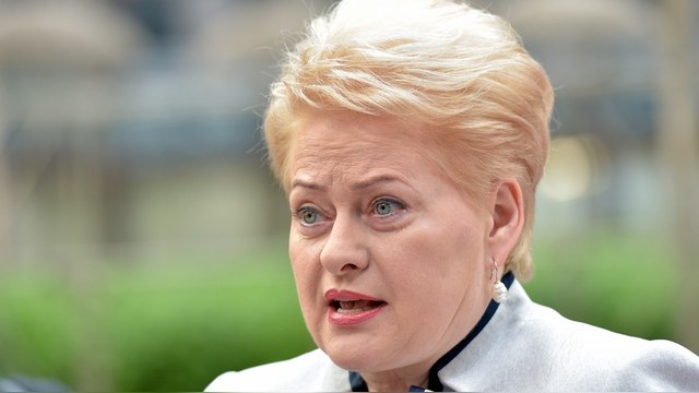 DELFI: Литва насмешила Пушкова отказом участвовать в коалиции против ИГ