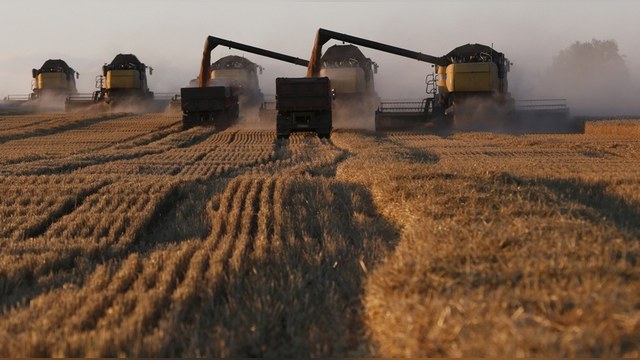 WSJ: Западные производители зерна обогатятся на ссоре Москвы и Анкары