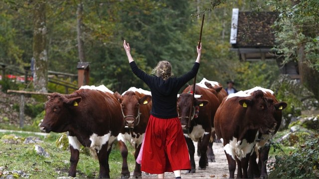 EurActiv: Немецкие фермеры призывают ЕС «передумать» санкции против России