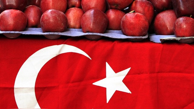 Daily Sabah: Турецкие экспортеры переключатся с России на Африку