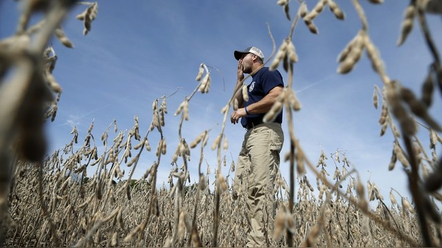 RFI: Россия ввела эмбарго на продукты из США, которые и до этого не покупала