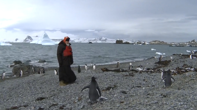 Telegraph: В Антарктиде патриарх Кирилл прогулялся в необычном окружении