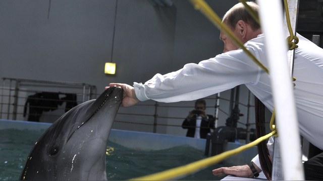 Times: Россия потратит почти 2 миллиона рублей на «дельфинов-убийц»